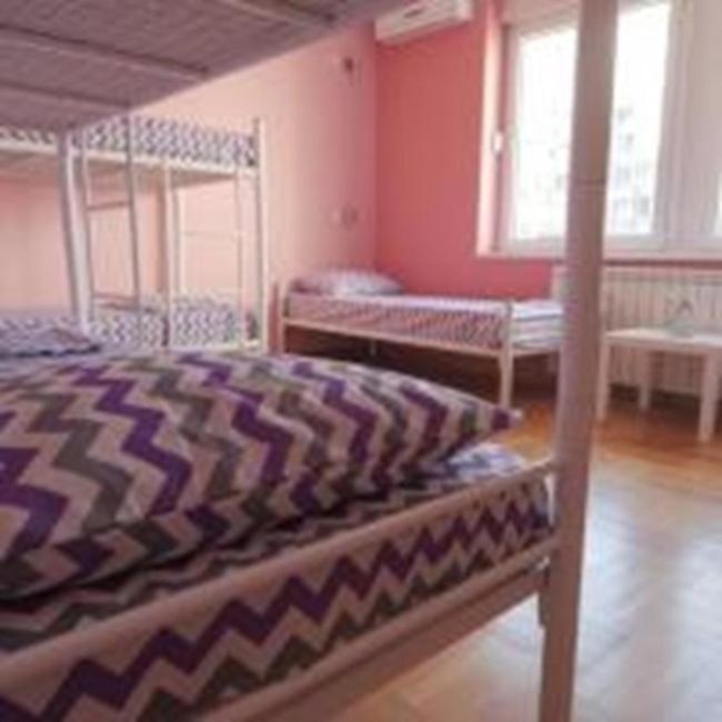 Stella Di Notte Vip Vandrarhem Belgrad Exteriör bild